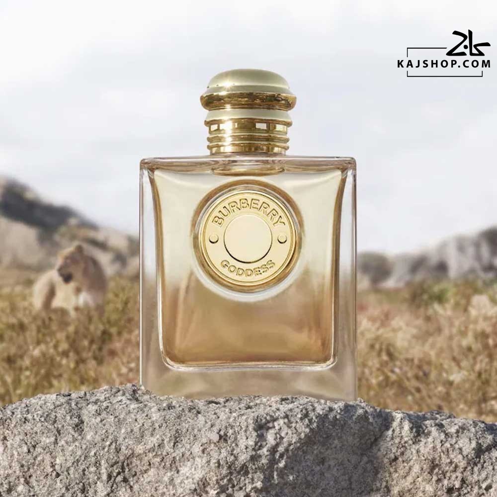 عطر ادکلن بربری گادس