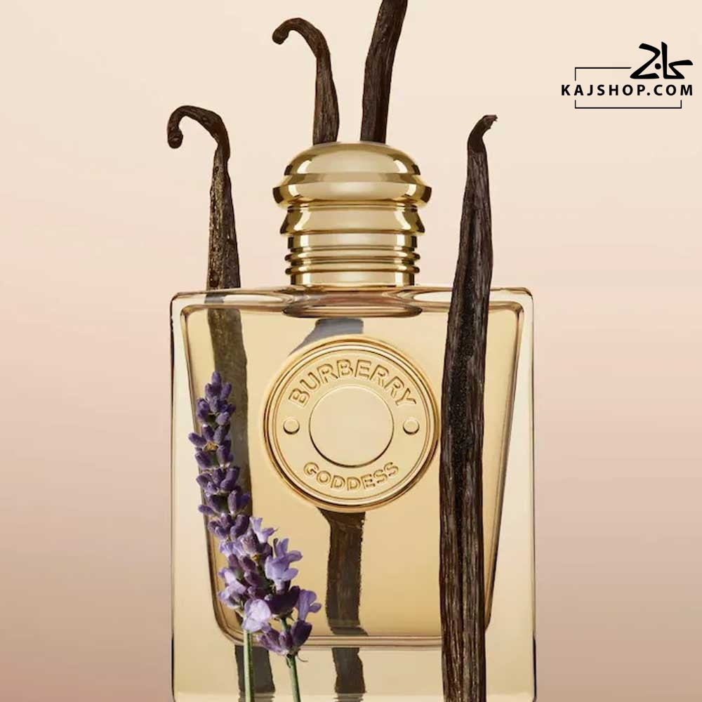 عطر ادکلن بربری گادس