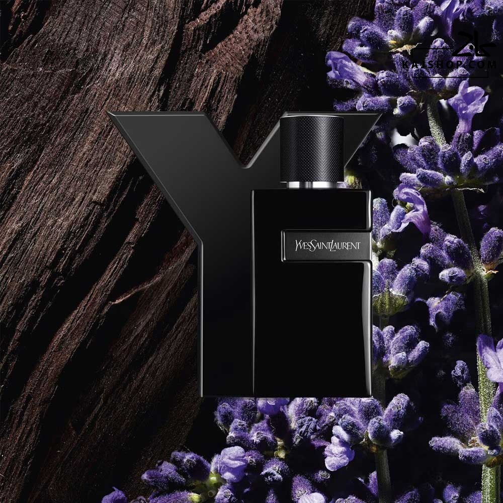 عطر ادکلن ایو سن لورن وای له پارفوم