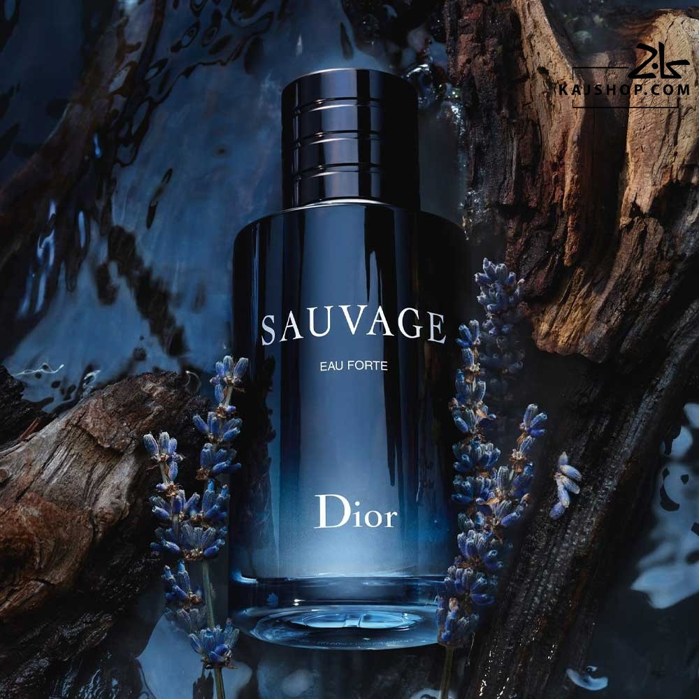 عطر ادکلن مردانه دیور ساواج او فورت